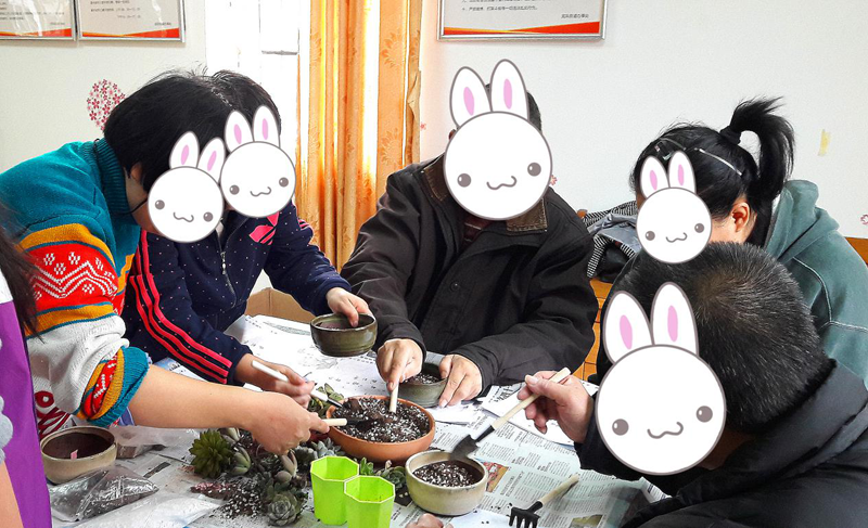 【龙凤家综】“友”我“培”你 ——龙凤家综陪你一起来种植